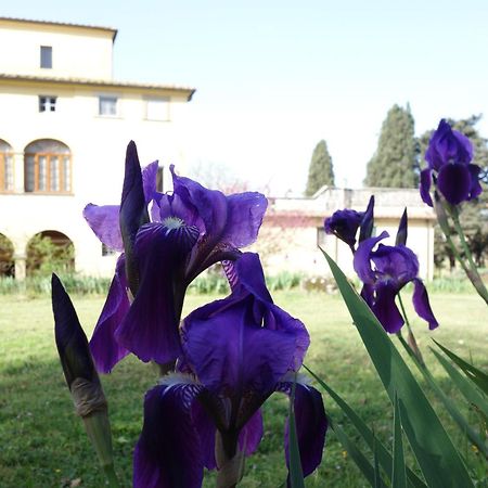 Bed and Breakfast Bella Di Ceciliano Arezzo Zewnętrze zdjęcie