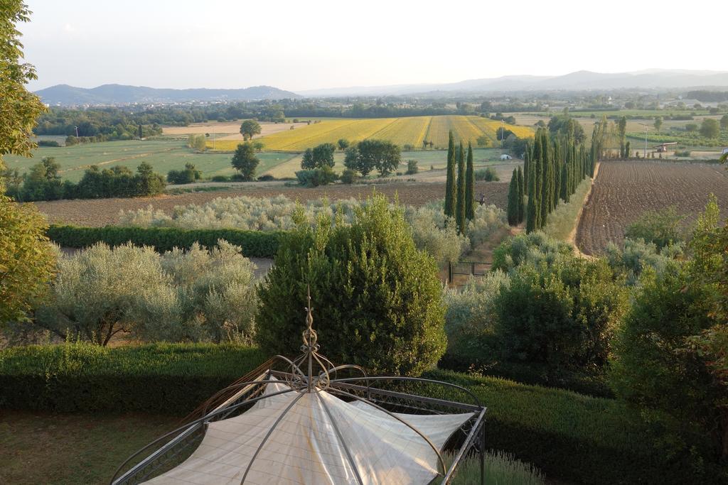 Bed and Breakfast Bella Di Ceciliano Arezzo Pokój zdjęcie