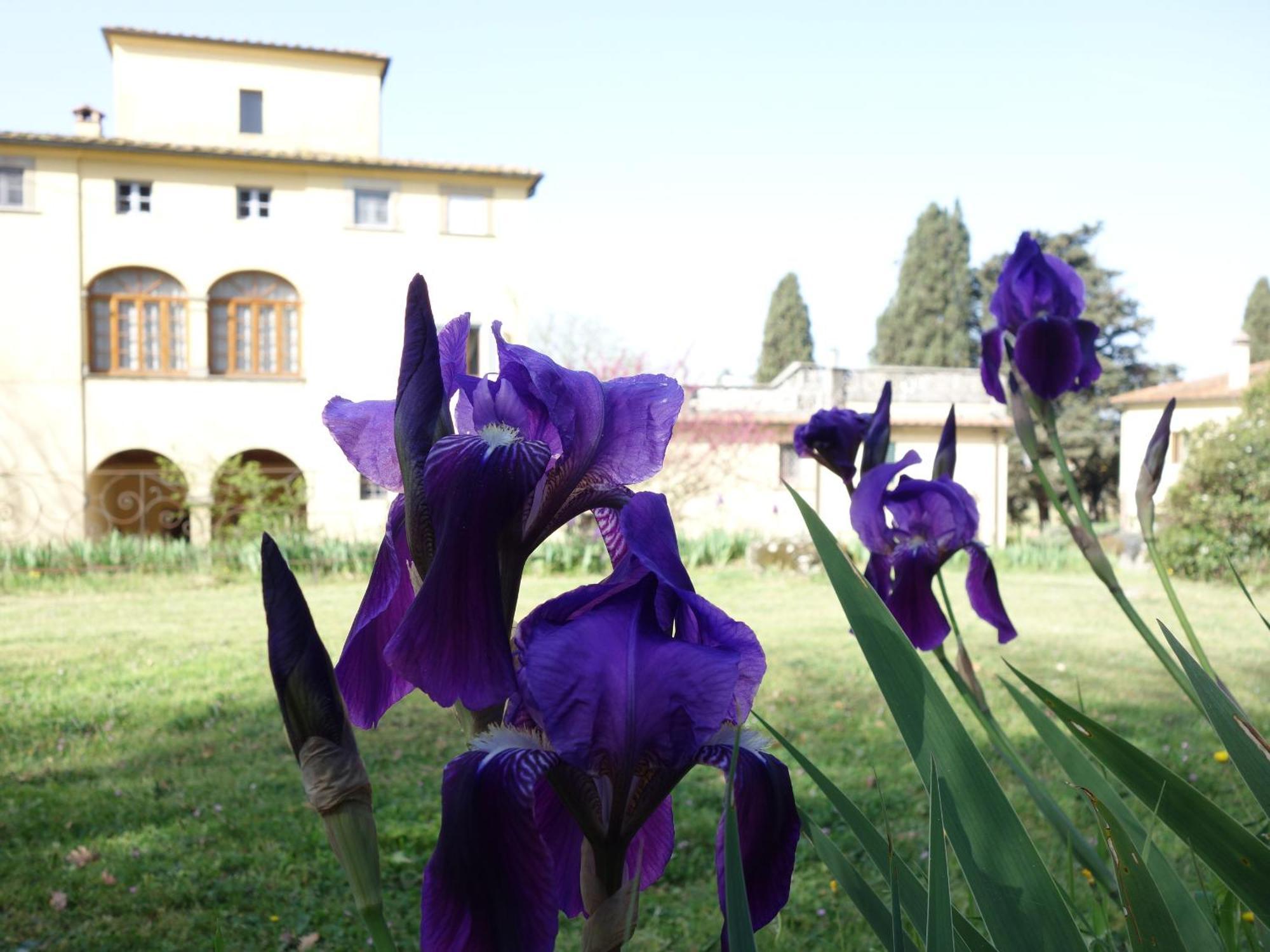 Bed and Breakfast Bella Di Ceciliano Arezzo Zewnętrze zdjęcie