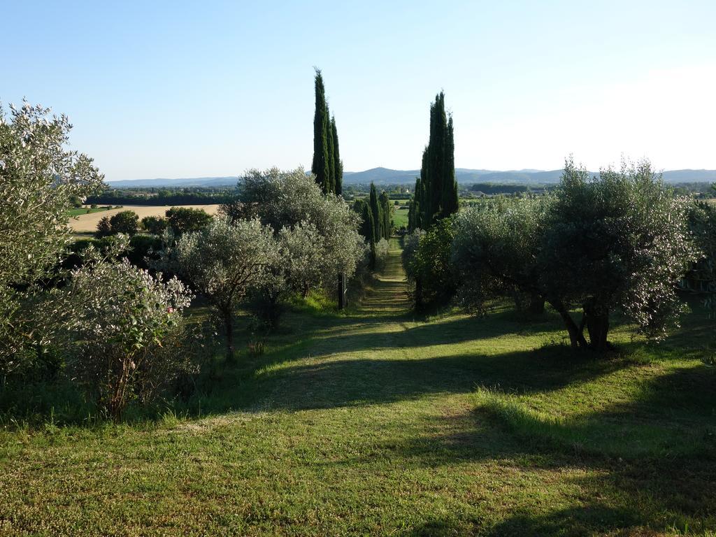 Bed and Breakfast Bella Di Ceciliano Arezzo Zewnętrze zdjęcie